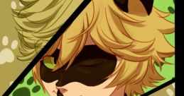 Adrien - Cat Noir (Hindi) (Miraculous)