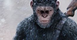 War for the Planet of the Apes | Final Trailer