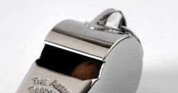 Whistle