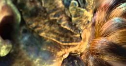 Strange Magic Trailer