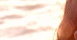 Red Knot Trailer