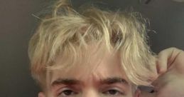 Albert (Flamingo)
