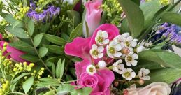 Posy