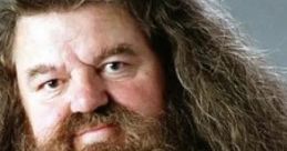 Hagrid (italian dub) (Harry Potter) (voice actor Francesco Pannofino)