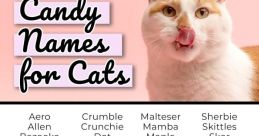 Whiskers, The Kitten Who Can Name Fruit