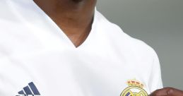 Vinicius Junior (Brazilian Football Player)