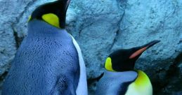 Penguino-PenguinVR