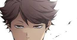 Oikawa Tooru (Haikyu!!) (JP)