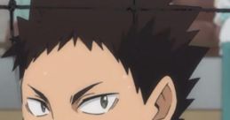 Iwaizumi Hajime (Haikyu!!) (JP)