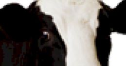 Literally a Cow MooIng that the audio wave looks like a Cow Harvest Extraction