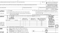 Income Tax Return Document