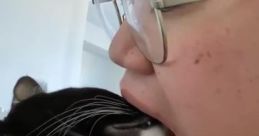 Singer Cat Chinese Tik Tok