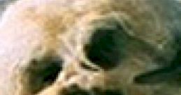 Wampa : Star Wars Jedi Knight – Jedi Academy