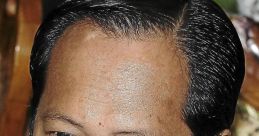 Ahmad Maslan (Malay Deputy Minister)