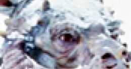 Tauntaun : Star Wars