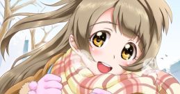 Kotori Minami (Love Live! School Idol Project) [CV: Aya Uchida]