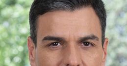 Pedro Sanchez (Spanish Politician)