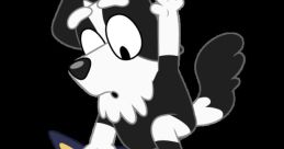MacKenzie Border Collie (Bluey)