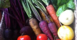 BIG SHOT harvest