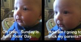 Too Silly Fool