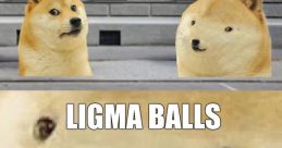 Doge's Dream Doge & Steve
