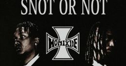 Homixide Meechie (Homixide Gang)