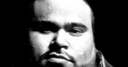 Big Pun (big punisher)