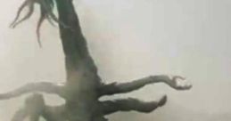 Monsters: Dark Continent Trailer