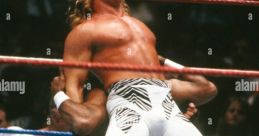 Shawn Michaels 90s Era WWE