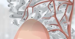 Chinese Egg Man