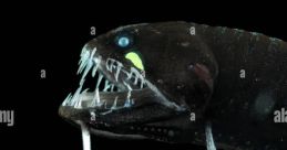 Viridis (Nephthys Media, Black Drag0nfish)