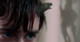 Horns Trailer