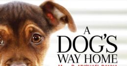 A Dog's Way Home