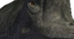 Close-up of a Brachiosaurus, showcasing its distinctive long neck and large head, highlighting its prehistoric features.