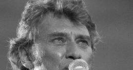 Johnny Hallyday (French Singer)
