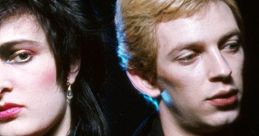 Siouxsie And The Banshees