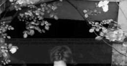 Nick Drake