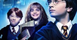 Harry Potter (FR)