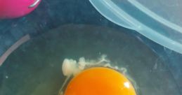 Double Egg-BATIENCE (Myself)