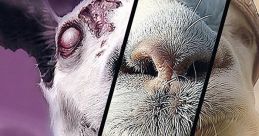 Goat Goat Simulator Type your text to hear it in the voice of Goat Goat Simulator