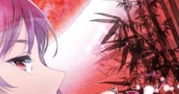 Alter Ego Touhou Eiyashou ~ Imperishable Night. Touhou Kaeidzuka ~ Phantasmagoria of Flower View. Touhou Chireiden ~
