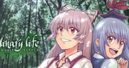 An ordinary life Touhou - Video Game