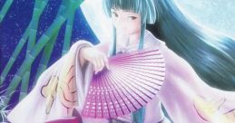 Eienka -The Eternal of Touhou- 永縁花 -The Eternal of Touhou- - Video Game