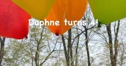 Daphne (Crusoe the Dachshund)