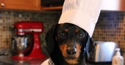 Chef Crusoe (Italian accent)