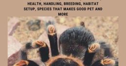 Tarantula (AJPcrosser), Trained