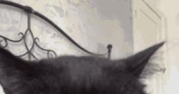 Cilla (Portal 2_ The Office Prank)