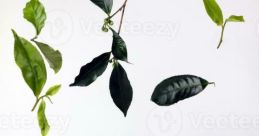 Een vers kopje thee As you sit back and relax with a soothing cup of tea, the of pouring hot water over the tea leaves