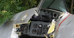 Flight pilot crash