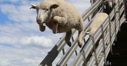 The Giant Flying Sheep The first that comes to mind when thinking about "The Giant Flying Sheep" is the soft fluttering